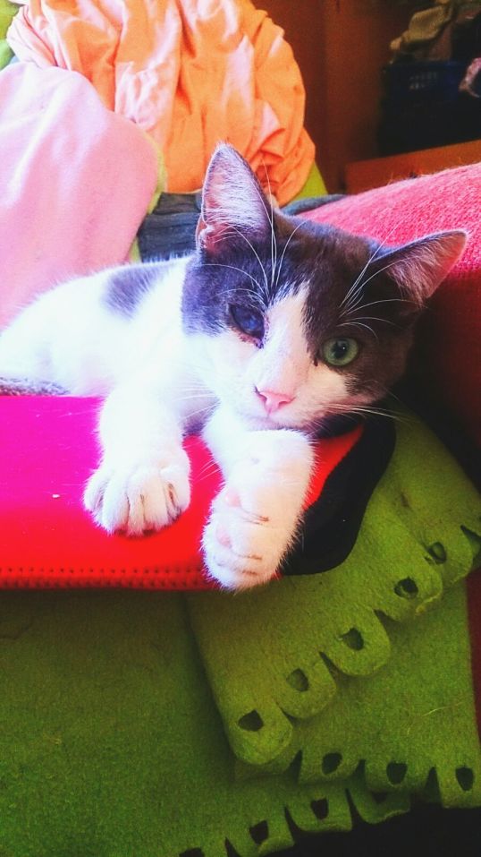 WhatsApp Image 2017-03-27 at 01.11.47 (1)