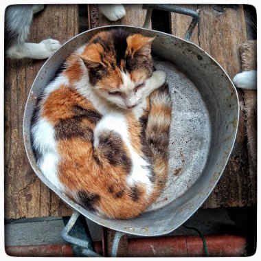 photo5857069953100919367