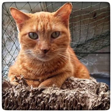 photo5857069953100919376