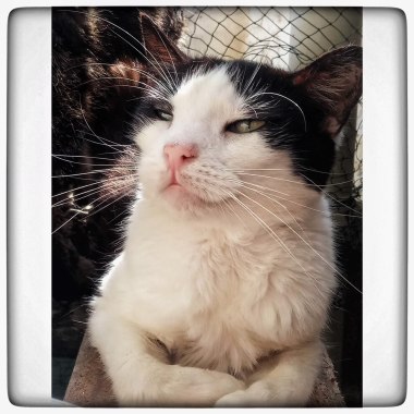 photo5857069953100919454