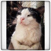 photo5857069953100919454