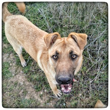 photo5857262973226169357