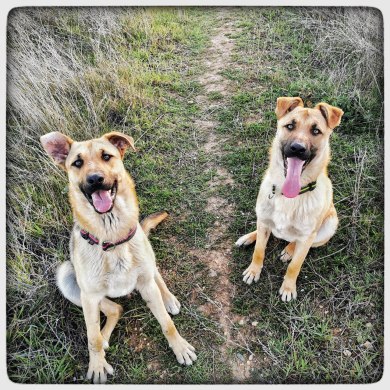 photo5857262973226169360