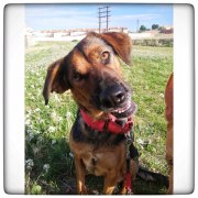 photo5857262973226169466