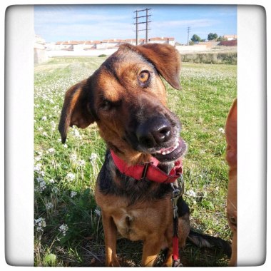 photo5857262973226169466