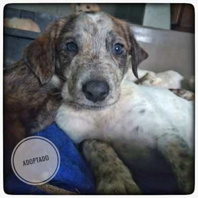 WhatsApp Image 2020-04-28 at 23.59.17