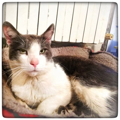 photo5857069953100919384 (1)