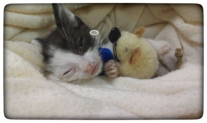 photo5875491205272417364