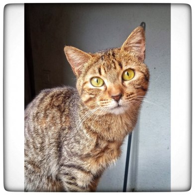 photo5875491205272417391