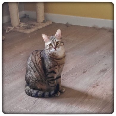 photo5891065151824704331