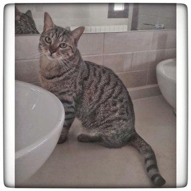 photo5891065151824704332