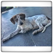 photo5891065151824704339