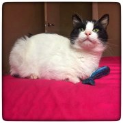 photo5891065151824704348