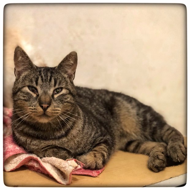 photo5891065151824704414