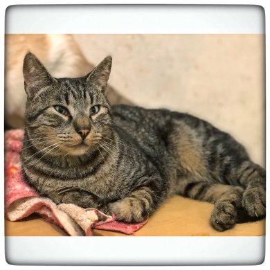 photo5891065151824704422