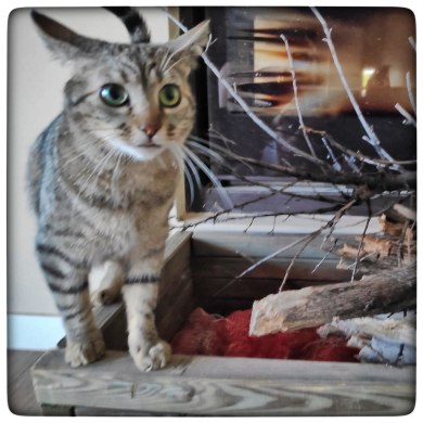 photo5891065151824704423