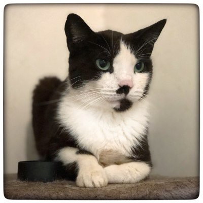 photo5897868212517843549