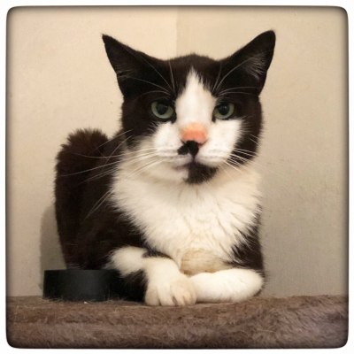 photo5897868212517843551