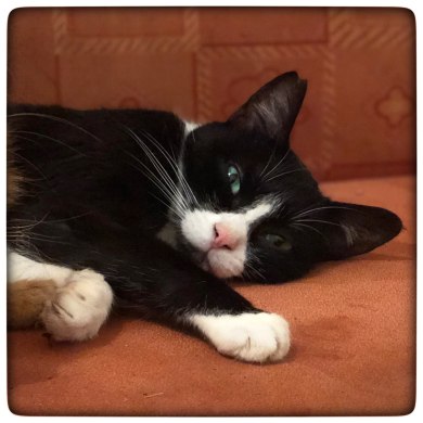 photo5897868212517843556