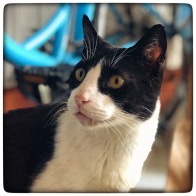 photo5897868212517843562 (1)