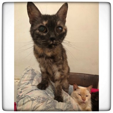 photo5897868212517843563