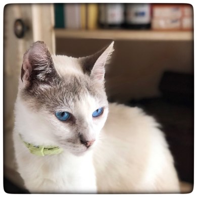 photo5897868212517843567