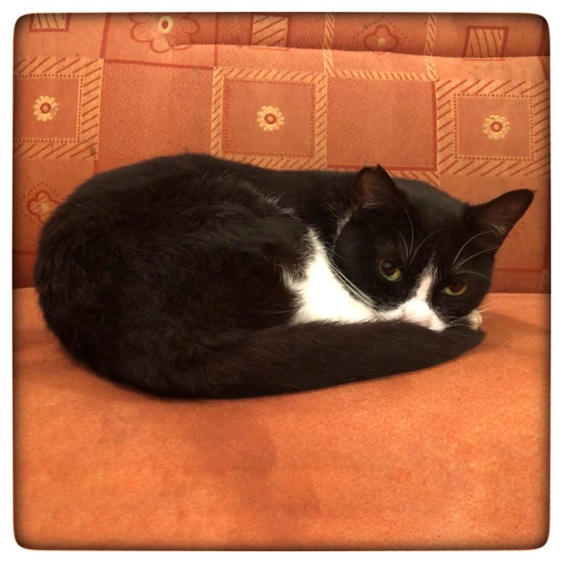 photo5897868212517843573