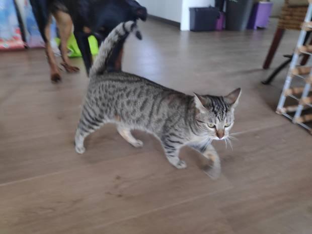 WhatsApp Image 2020-05-09 at 18.17.43