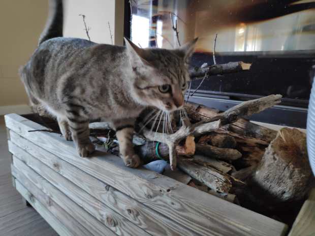 WhatsApp Image 2020-05-09 at 18.18.06