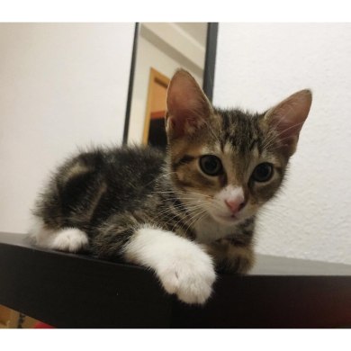 photo5958555151222551179