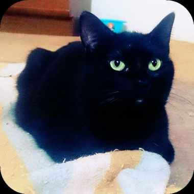 photo_2020-12-30_16-48-07