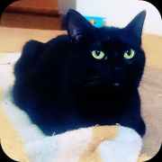 photo_2020-12-30_16-48-07