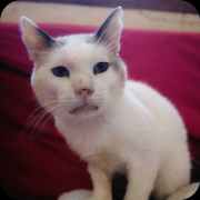 photo_2020-12-30_16-58-57