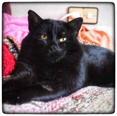 photo_2020-12-30_21-57-16