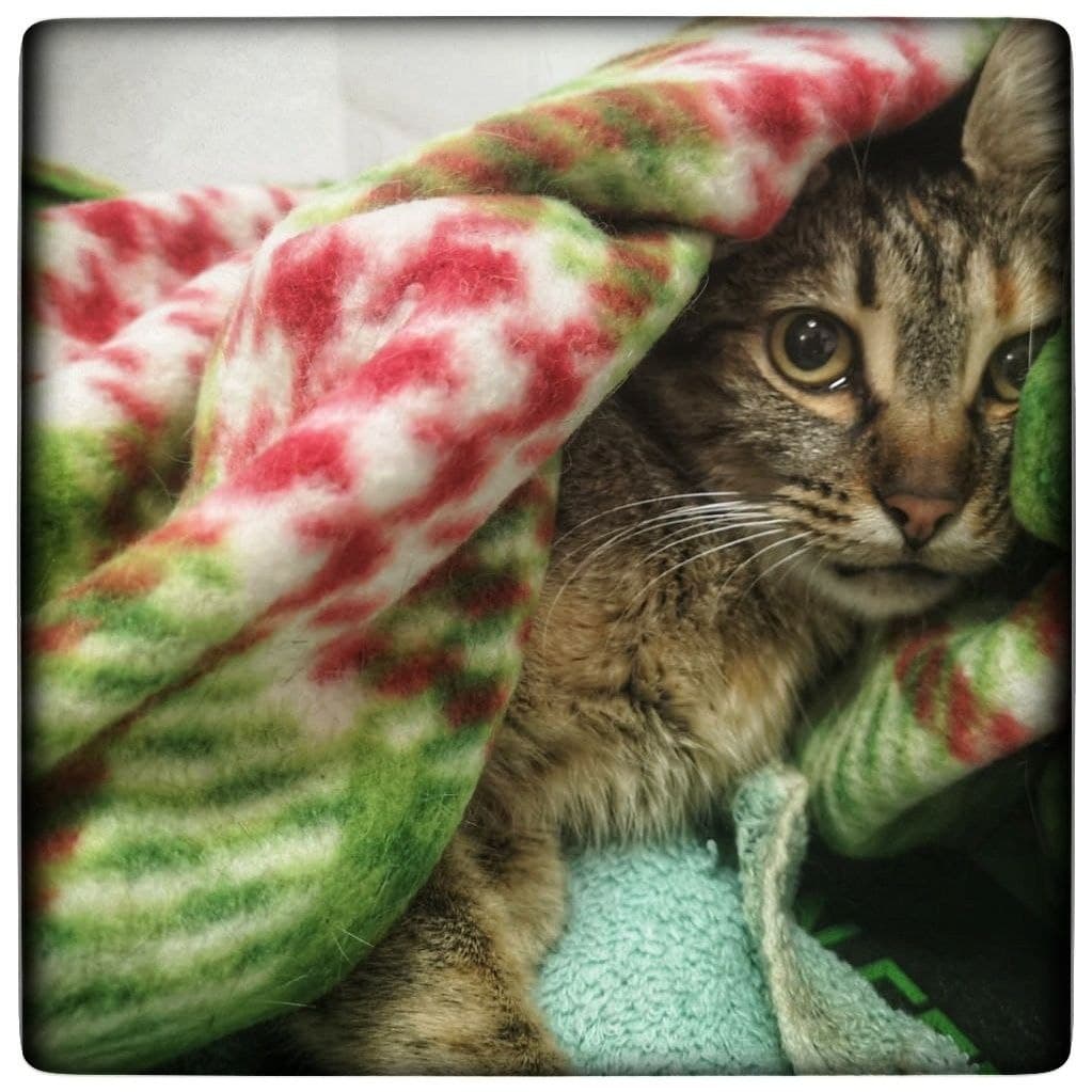 photo_2020-12-30_22-19-05