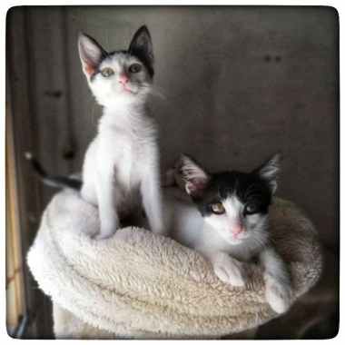 photo_2020-12-30_22-57-12