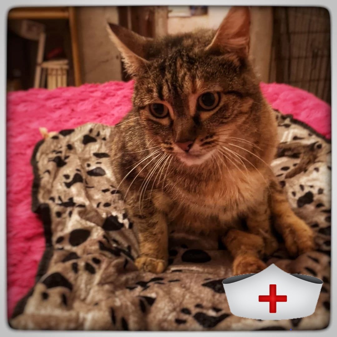 photo_2020-12-30_23-05-56