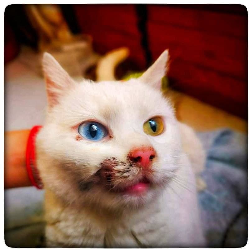 photo_2020-12-31_17-02-49