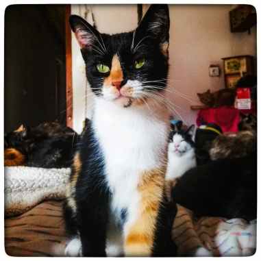 photo_2020-12-31_17-48-36