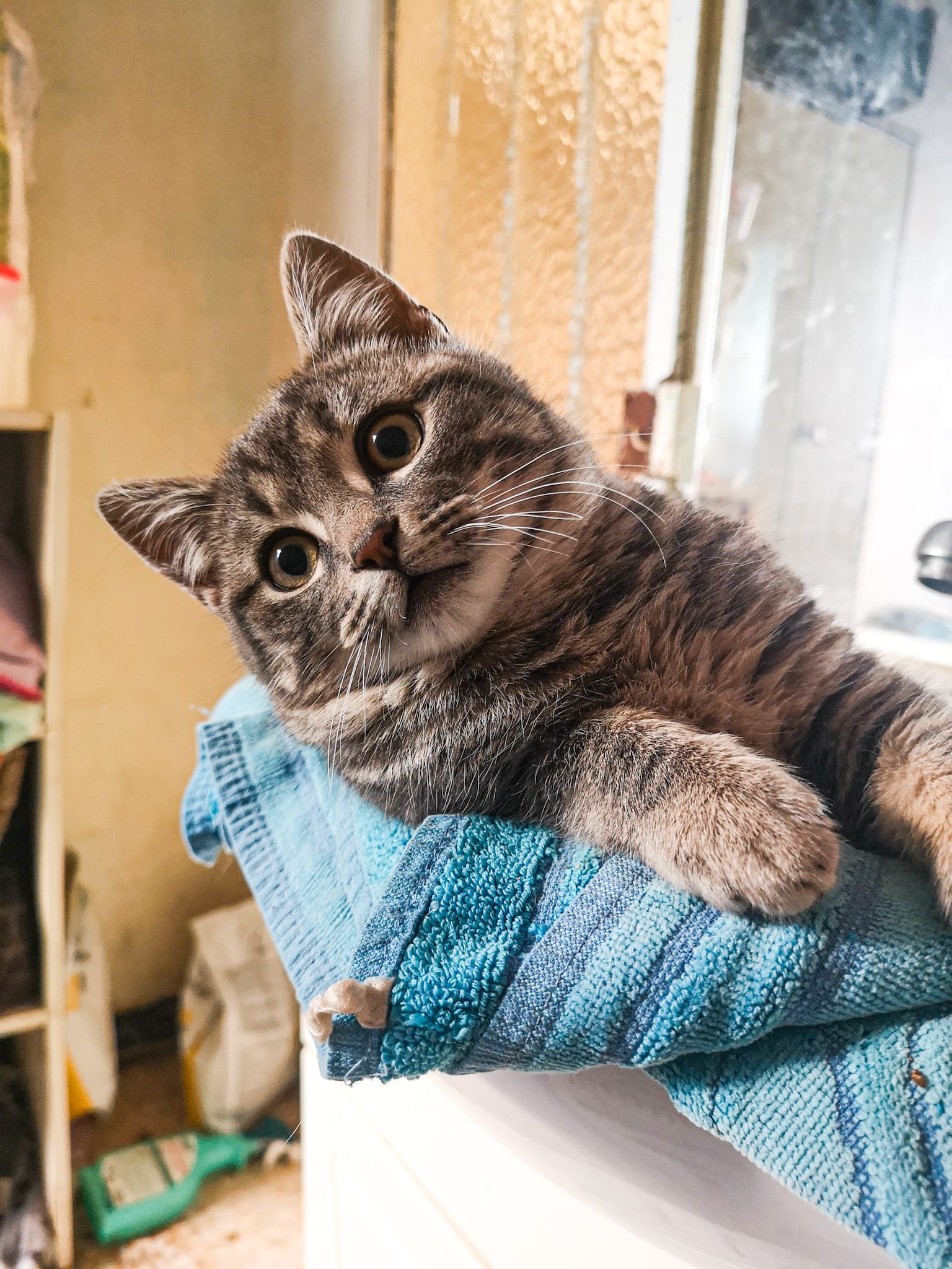 WhatsApp Image 2020-12-29 at 13.51.03