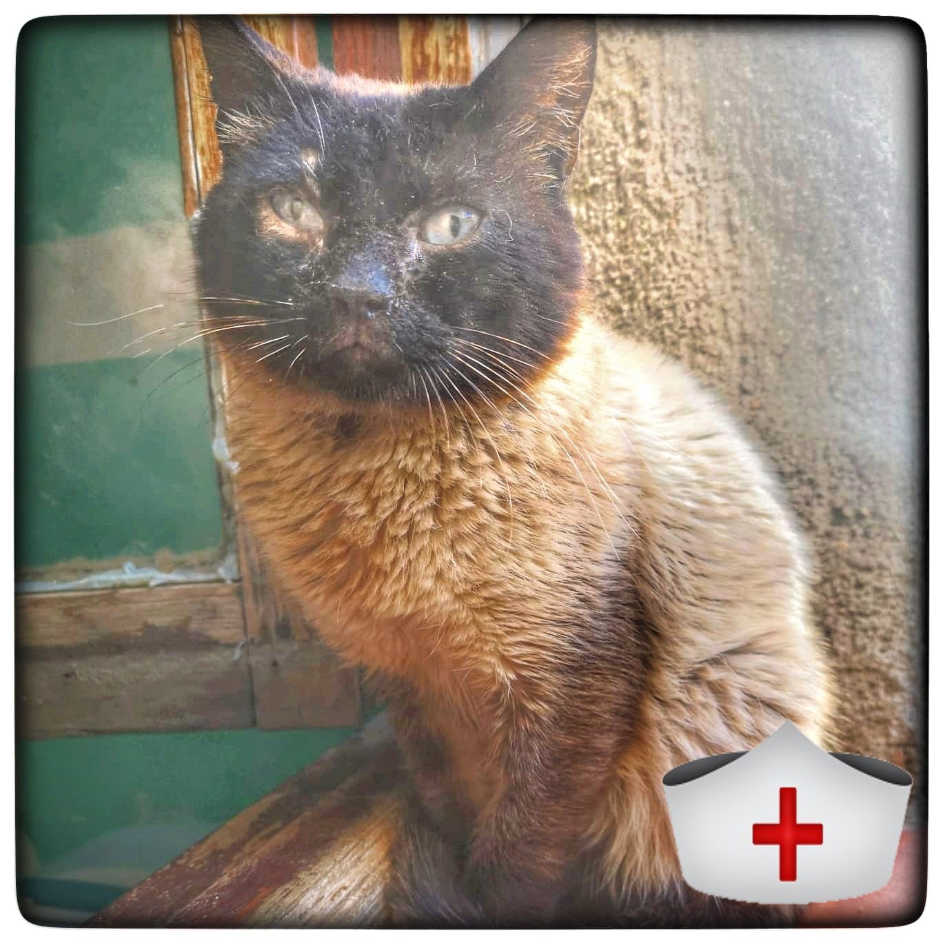 WhatsApp Image 2021-04-22 at 14.07.18