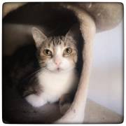 WhatsApp Image 2021-07-14 at 18.48.55