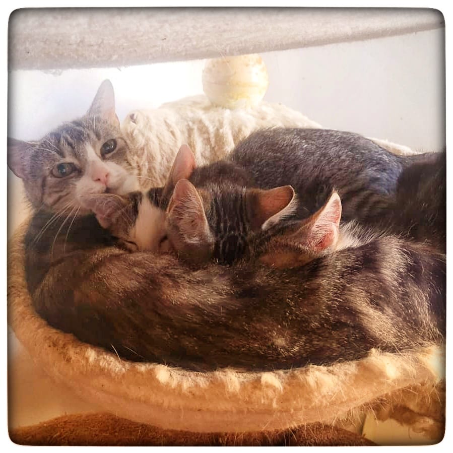 WhatsApp Image 2021-07-14 at 18.50.29