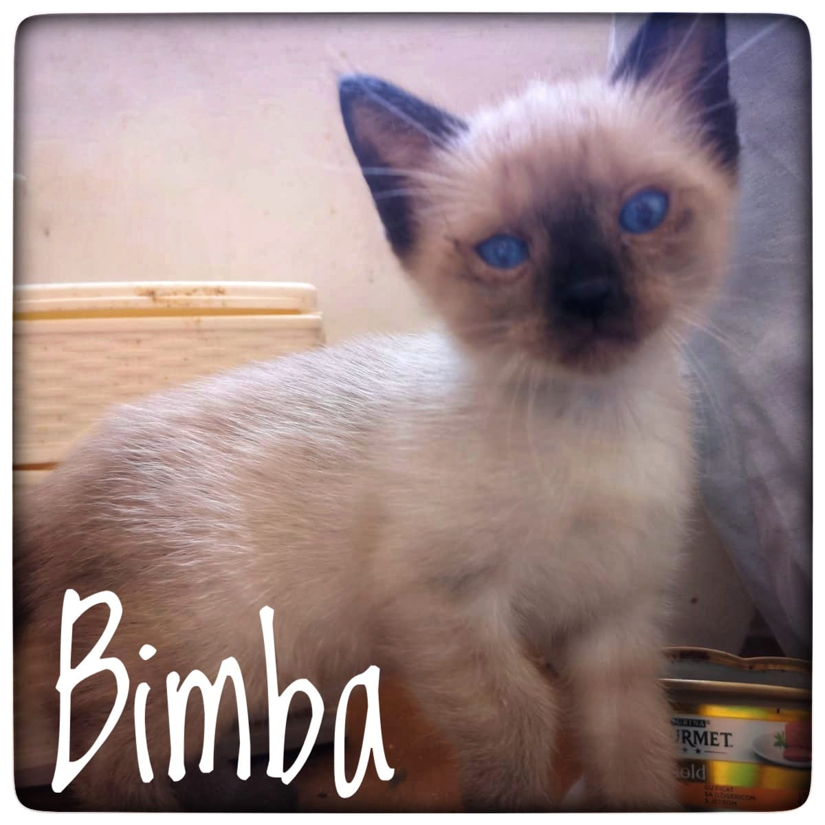 WhatsApp Image 2021-09-17 at 12.02.59