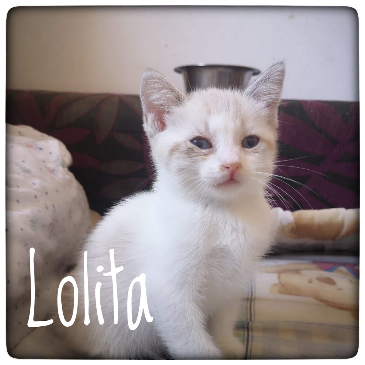 WhatsApp Image 2021-09-17 at 12.07.32