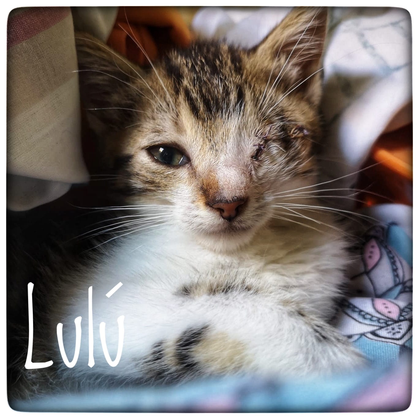 WhatsApp Image 2021-09-17 at 12.09.39