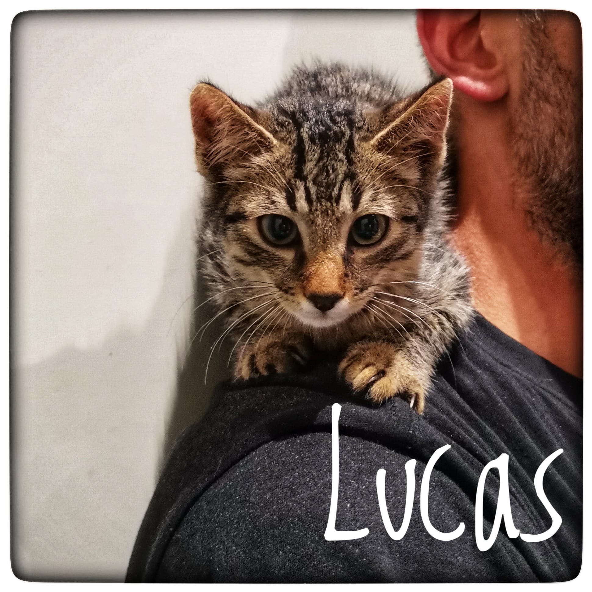 WhatsApp Image 2021-09-17 at 12.46.13