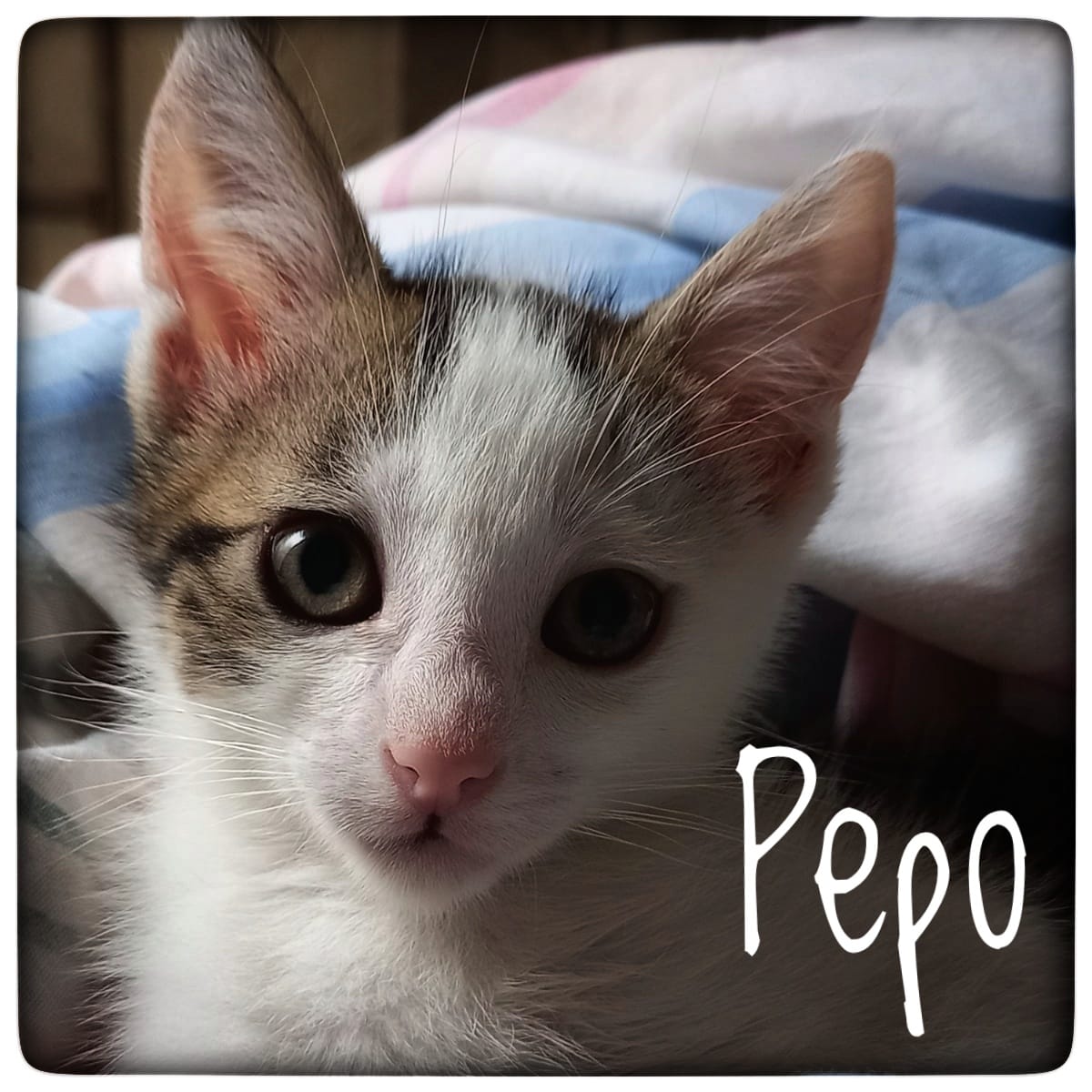 WhatsApp Image 2021-09-17 at 12.53.02