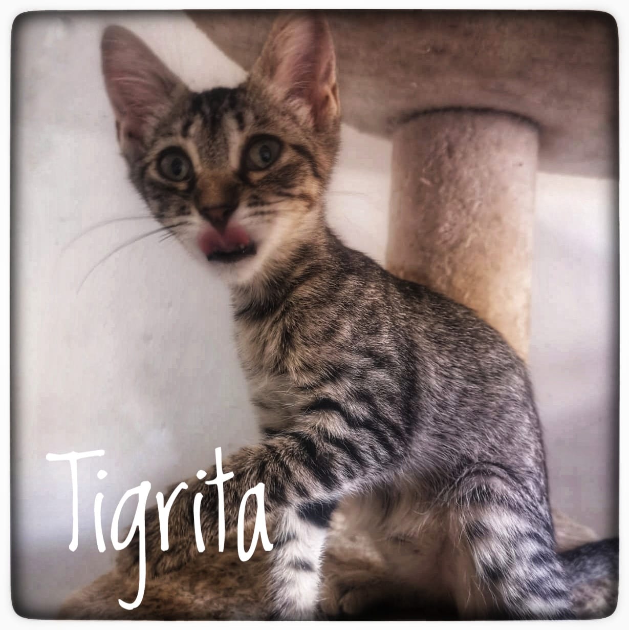 WhatsApp Image 2021-09-17 at 12.56.54