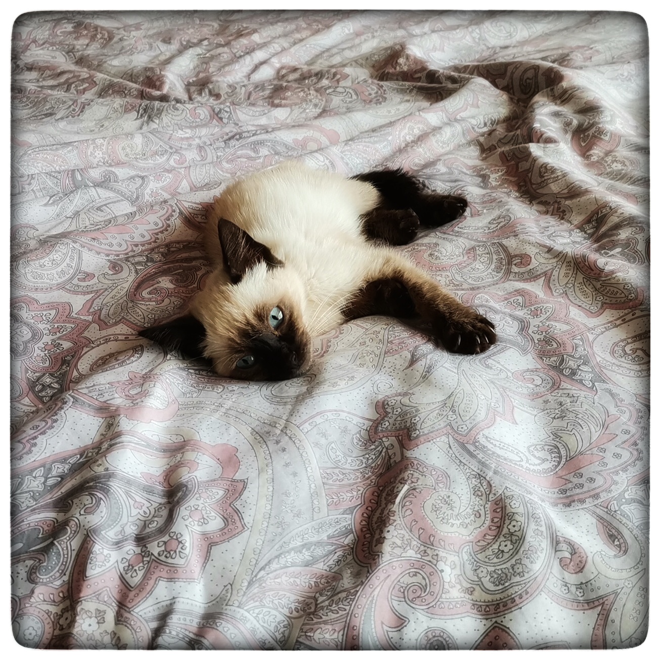 WhatsApp Image 2021-09-20 at 12.07.11